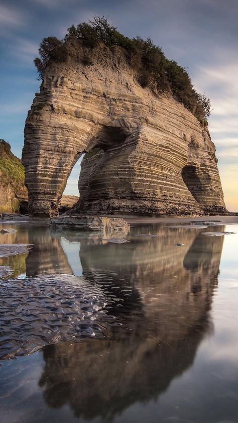 Elephant rock in New Zealand. Elba, Wow Photo, Elephant Rock, Saul Leiter, Amazing Nature Photos, Destination Voyage, New Zealand Travel, Rock Formations, A Rock