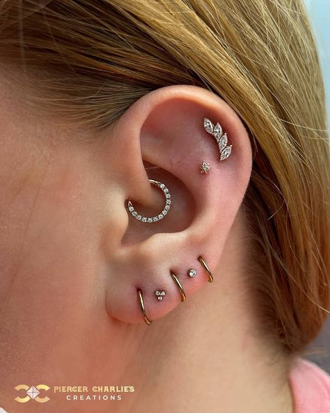 Piercer Charlie's Creations on Instagram: “Ear curation in Rose Gold on the upper ear and anodised titanium on the lower part. ​ ​Find Ireland's largest collection of Fine Jewellery…” Titanium Ear Curation, Ear Curation, Cool Ear Piercings, Anodized Titanium, Fine Jewellery, Ear Piercings, Ear Cuff, Piercings, Cool Art