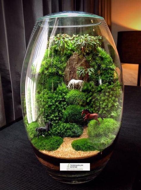 Mini Jardin Zen, Terrarium Scene, Flower Garden Ideas, Garden Landscaping Diy, Beautiful Terrariums, Mini Terrarium, Terrarium Ideas, Fleur Design, Moss Terrarium