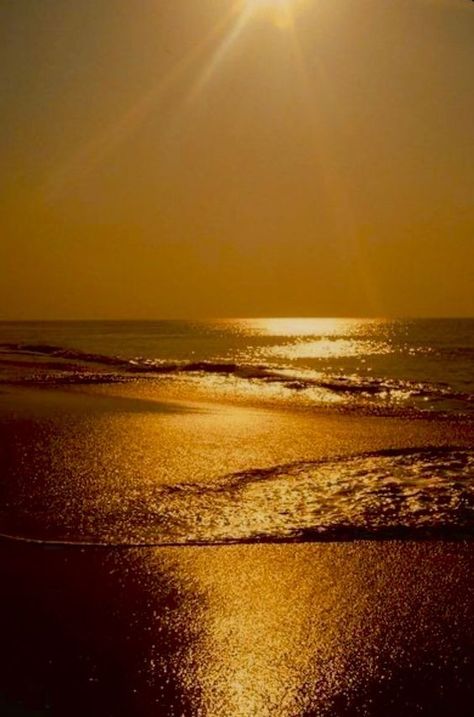 Golden Ocean Aesthetic, Golden Aura Aesthetic, Gold Ocean Aesthetic, Golden Hour At The Beach, Sunny Yellow Aesthetic, Golden Beach Aesthetic, Gold Sunset Aesthetic, Gold Beach Aesthetic, Gold Hour Aesthetic