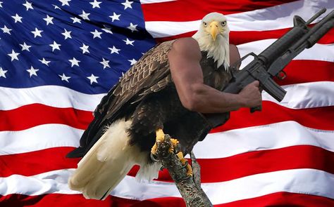 This picture has been around for a long time. I wonder if it is what inspired the 'Birds With Arms' series? Fourth Of July Pics, 4th Of July Pics, 4th Of July Images, July Images, 4th Of July Photos, Patriotic Pictures, Funny 4th Of July, I Love America, Dark Memes