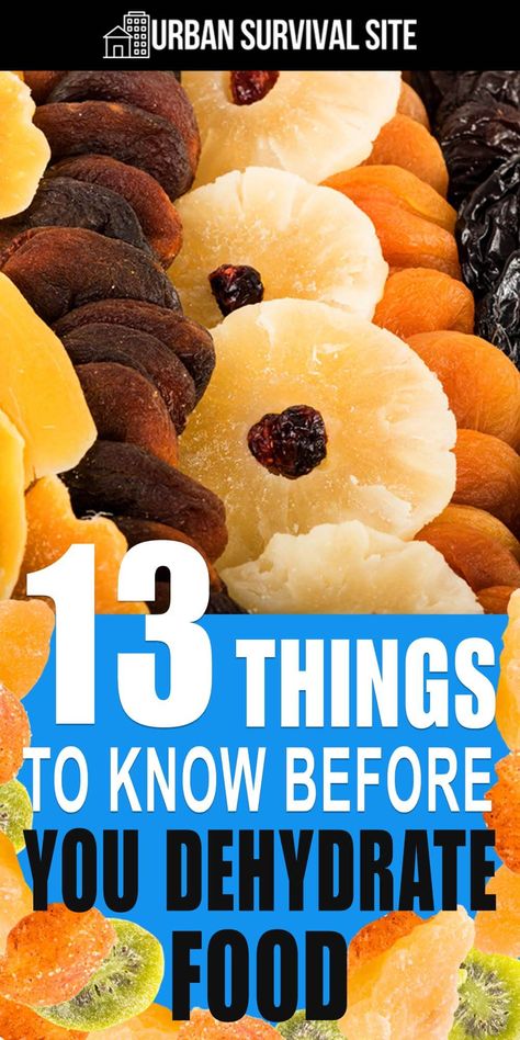 13 Things To Know Before You Dehydrate Food Food Dehydrator Recipes, Dehydrator Recipes Fruit, Dehydrating Food Storage, Food Dehydration, Preserve Food, Dehydrated Vegetables, Canning Food Preservation, Food Dehydrator, Dehydrated Fruit