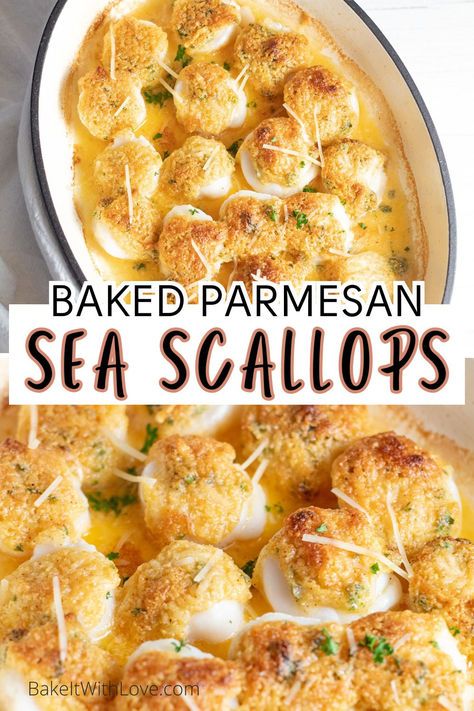 Dive into the crispy, golden-brown delight of Baked Scallops, coated with a Parmesan breadcrumb mix. These buttery and tender scallops, baked to perfection, offer a heavenly taste. Ideal for a fancy dinner or as a savory appetizer. #Scallops #Parmesan #Baked #Buttery #Seafood #Appetizer #Dinner #BakeItWithLove Mediterranean Diet Scallops Recipe, Seafood Meal Prep For The Week, Seven Fishes Christmas Eve Appetizers, Easy Fine Dining Recipes, Seafood Thanksgiving Dinner Ideas, Best Scallop Recipe, Shrimp And Scallop Recipes, Scallops And Shrimp, Appetizer Dinner