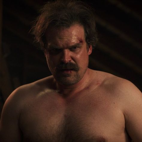 David Harbour Stranger Things, Chris Evans Gay, Looking Respectfully, He Hit Me, David Harbor, Hopper Stranger Things, Male Cartoon Characters, David Harbour, Scruffy Men