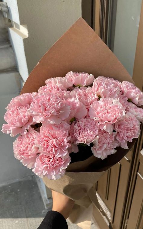 Land Design, Boquette Flowers, Pink Carnations, Design Illustrations, Nothing But Flowers, Carnation Flower, Flower Therapy, No Rain, Beautiful Bouquet Of Flowers