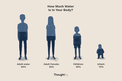 How Much of Your Body Is Water? What Percentage? Indian Judiciary, Pe Activities, Human Body Facts, Health Psychology, Interesting Stories, Healing Words, Parenting 101, Body Picture, Science Facts