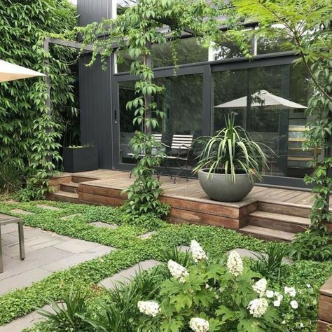 Townhouse Garden, Small Courtyard Gardens, Courtyard Gardens Design, Minimalist Garden, Small Courtyards, Have Inspiration, Backyard Garden Design, Garden Designs, Small Garden Design