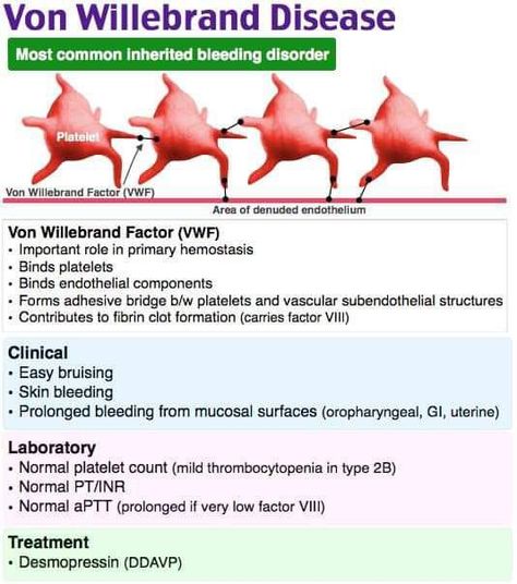 Von Willebrand Disease, Medical Student Study, Medical Laboratory Science, Nursing School Survival, Nursing School Studying, Nursing School Tips, Medical School Studying, Nursing School Notes, Medical School Essentials