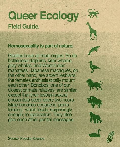 Queer Ecology, Lavender Menace, Trans Masc, Trans Art, Queer Art, Art Folder, Get Educated, Word Art, Ecology