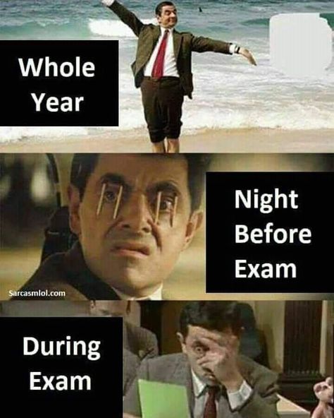 Humour, Funny Exam Quotes, Exam Funny, Night Before Exam, Exams Memes, Studying Memes, Exams Funny, Funny Test, Exam Quotes