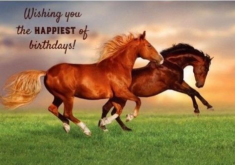 Horse Happy Birthday Image, Horse Birthday Cards, Birthday Horses, Friendship Birthday Wishes, Birthday Funnies, Horses Birthday, Birthday Horse, Happy Birthday Wishes For A Friend, Happy Birthday Clip Art