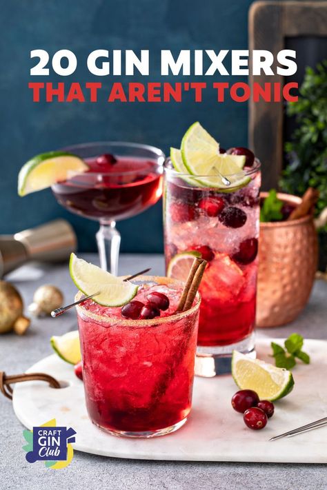 Gin And Juice Recipe, Gin And Coke, Gin Mixers, Prosecco Cocktail Recipes, Gin Drink Recipes, Gin And Soda, Strawberry Gin, Gin And Prosecco, Classic Gin Cocktails