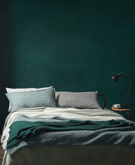 Dulux  Okete. Green Painted Walls, Design Ložnic, Dark Green Walls, Green Walls, Dark Walls, Gray Bedroom, Trendy Bedroom, Green Interiors, Green Rooms