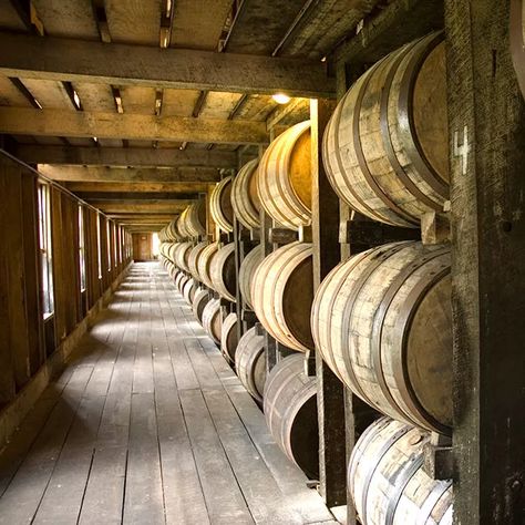 Bourbon Tour, Kentucky Bourbon Trail, Bourbon Tasting, Woodford Reserve, Whiskey Distillery, Farm Fresh Recipes, Buffalo Trace, Kentucky Bourbon, Wine Barrels