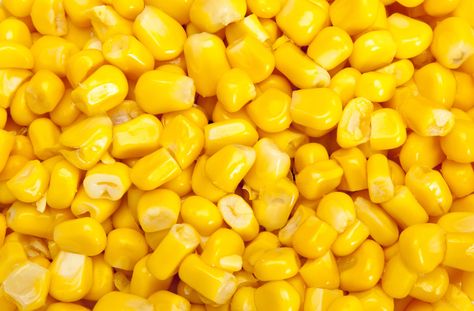 Corn Vegetable, Corn Maize, Corn Grain, Types Of Candy, Cute Eyeshadow Looks, Yellow Corn, Black Garlic, Yellow Foods, Yellow Theme