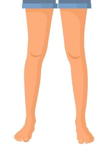 Leg Animation, Legs Illustration, Leg Illustration, Cartoon Legs, Legs Drawing, Human Legs, Medical Health Care, Human Leg, Human Body Parts