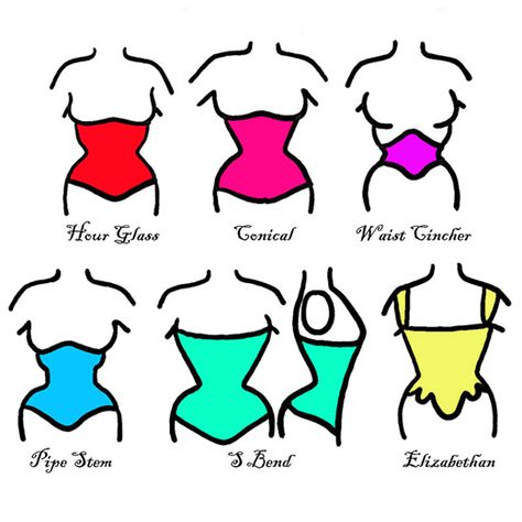 Corset Types Chart, Different Corset Shapes, Corset Types Names, Different Corset Types, How To Draw A Corset, Waist Sketch, Corset Drawing Reference, Corset Shapes, Type Of Corset