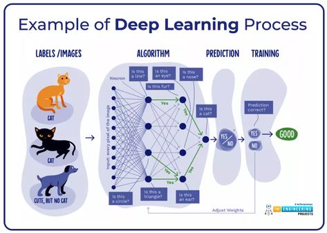 Introduction to Deep Learning - The Engineering Projects Deep Learning Algorithm, Machine Learning Projects, Computer Science Programming, Computer Learning, Apps Design, Weather Predictions, Neural Network, Learning Projects, Engineering Projects