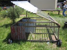 Three Part Plot: Joel Salatin Workshop Rabbit Tractor Diy, Quail Tractor, Rabbit Tractor, Clean Chicken Coop, Raising Rabbits For Meat, Joel Salatin, Rabbit Pen, Outdoor Rabbit Hutch, Homesteading Animals