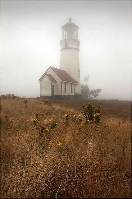 Oregon mist - lighthouse.I want to go here one day.Please check out my website thanks. www.photopix.co.nz Palace Of Fine Arts, Lighthouse Keeper, Lighthouse Pictures, Beautiful Lighthouse, Beacon Of Light, Light House, A Hill, Anne Of Green Gables, Green Gables