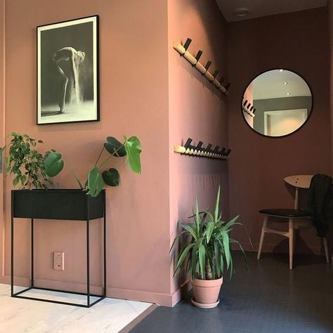 The Hibiscus Room Blush Wall Color, Jotun Lady, Tanning Beds, Hallway Colours, Hallway Inspiration, Wall Colour, Hallway Ideas Colour, Bedroom Paint, Hallway Ideas