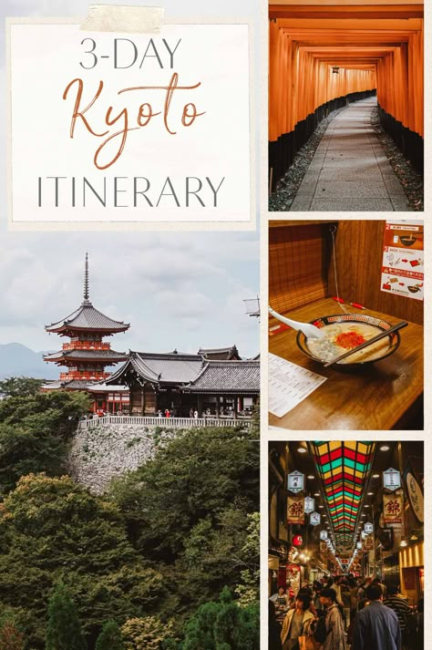 The Ultimate 3-Day Kyoto Itinerary • The Blonde Abroad Kyoto Itinerary 3 Days, Japan Honeymoon, Ski Destinations, Blonde Abroad, Kyoto Itinerary, Japan Travel Destinations, Japan Holidays, Tokyo Japan Travel, Japanese Travel