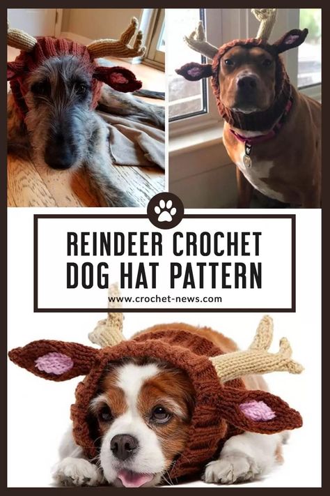 Dog Reindeer Hat Crochet Pattern Crochet Reindeer Hat For Dogs Free Pattern, Crochet Dog Reindeer Hat Pattern, Dog Winter Hat Crochet Pattern, Crochet Dog Hat Free Pattern Medium, Crochet Dog Christmas Hat Free Pattern, Crochet Antlers Pattern Free, Crochet Hat For Dogs Free Pattern, Crochet Dog Hat Free Pattern Large, Crochet Dog Snood Free Pattern