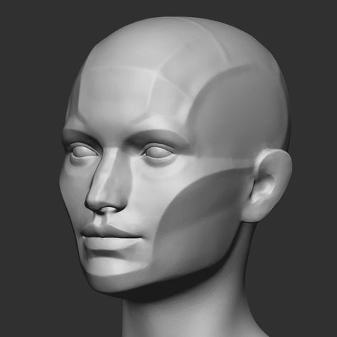 ArtStation - Alex Lashko - Female Head Planes Head Proportions, Zbrush Anatomy, Planes Of The Face, Egyptian Goddess Art, Head Female, Face Proportions, Head Anatomy, Facial Anatomy, Face Structure