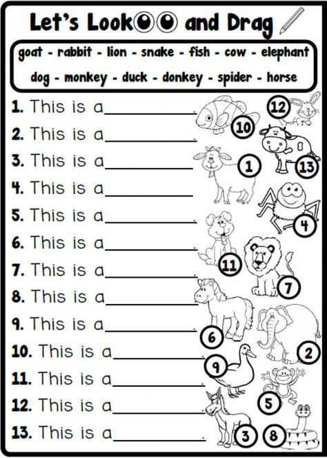 Esl Animals Worksheet, Animal Vocabulary Worksheet, English Animals Worksheet, Worksheet Animals For Kids, Animals Activity Preschool, Animal Worksheets Kindergarten, Animals For Kids Teaching, Animals Worksheet For Grade 1, Animal Worksheets Preschool