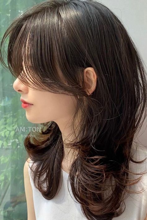 Curtain Bangs Haircut Medium Hair, Curtain Bangs And Braids, Korean Short Curtain Bangs, Wolfcut And Curtain Bangs, Long Wolfcut With Curtain Bangs, Wolfcut Hair Medium With Curtain Bangs, Korean Medium Hair With Bangs, Korean Curtain Bangs Long Hair, Korean Medium Haircut With Bangs