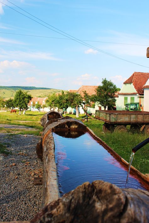 Log watering trough, Transylvania (A. Carman) Horse Water Trough Ideas Winter, Horse Trough Garden, Horse Trough Vegetable Garden, Stone Water Trough, Horse Water Trough Winter, Horse Water Trough, Horse Trough, Horse Water, Country Cowgirl