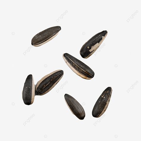 sunflower seeds  melon seed shell  diet Snacks Png, Melon Seeds, Transparent Image, Fruit Snacks, Sunflower Seeds, Png Transparent, Png Image, Melon, Stock Footage