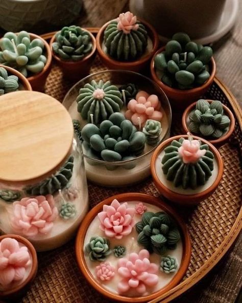 Interesting Candle Ideas, Cute Homemade Candles, Succulent Candles Diy, Candles Ideas Creative, Cute Candles Ideas, Cute Candle Making Ideas, Cool Candles Aesthetic, Unique Candle Making Ideas Diy, Candle Making Inspiration