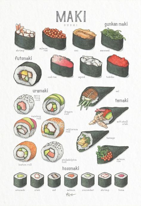 Sushi Recipes Homemade, Maki Sushi, Types Of Sushi, Recipe Drawing, Food Infographic, Makanan Diet, Cute Food Art, Sushi Recipes, Japanese Cooking