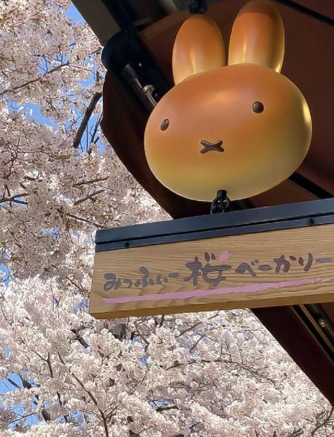 Aesthetic Cherry Blossom, Miffy Aesthetic, Aesthetic Cafe, Japan Aesthetic, Aesthetic Japan, Japanese Aesthetic, Cute Characters, Cute Food, Japan Travel