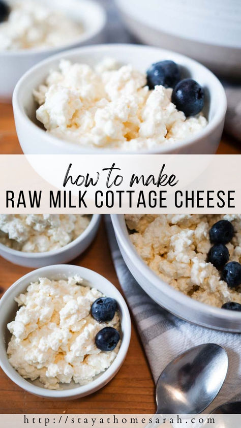 Learn how easy it is to make raw milk cottage cheese! If you are new to making your own dairy products, this recipe is for you. This nutrient dense snack only requires simple ingredients and a few easy steps. Pasturized Milk How To, How To Make Cottage Cheese, Farmers Cheese Recipes, Make Cottage Cheese, Raw Dairy, Homestead Cooking, Milk Diet, Homemade Cottage Cheese, Milk Cows