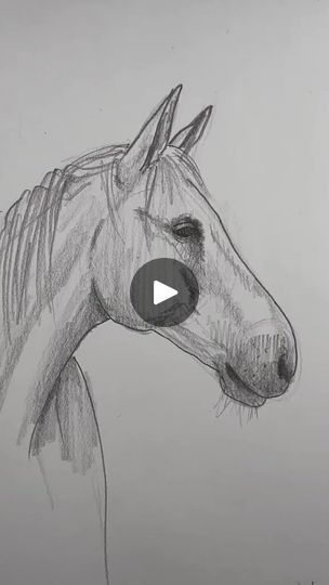 2.7K views · 99 reactions | #drawing #art #artist #sketch #illustration #artwork #draw #digitalart #painting #artistsoninstagram #sketchbook #fanart #drawings #instaart #anime #artoftheday #arte #love #design #portrait #sketching #digitaldrawing #ink #pencildrawing | Drawing Vd | Drawing Vd · Original audio Sketching Horses Pencil, Drawing Ideas With Tutorial, Draw Horses Easy, Sketching For Beginners Pencil, How To Sketch A Horse, Pencil Drawings Easy For Beginners, Easy Drawings Horse, Cute Pencil Drawings Easy, Paint Horse Drawing