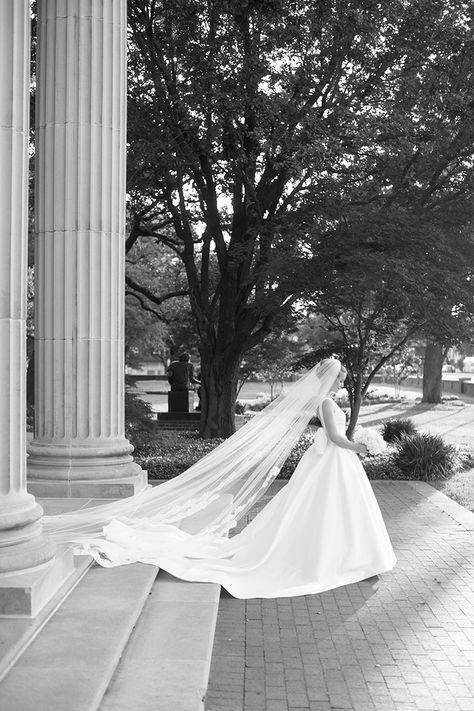 Official Portrait, Wedding Wednesday, Wedding Portrait Poses, Bride Pictures, Bride Photoshoot, Wedding Picture Poses, Bridal Pictures, Classic Vibe, Bridal Poses