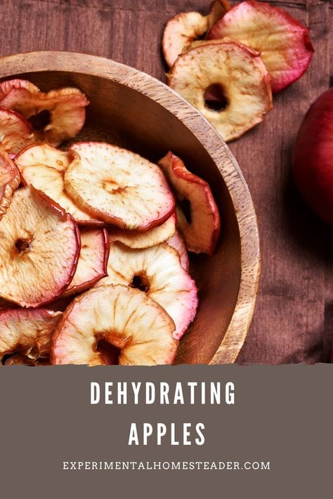 Have you ever wondered about dehydrating apples? Learn how to dehydrate apples, how to store them and why you should dehydrate them. How To Dehydrate Apples In Dehydrator, Dehydrated Apples In Oven, Dehydrated Apples In Dehydrator, How To Dehydrate Apples, Apples In The Oven, Dehydrate Apples, Dehydrating Apples, Dehydrated Apples, Healthy Vitamins