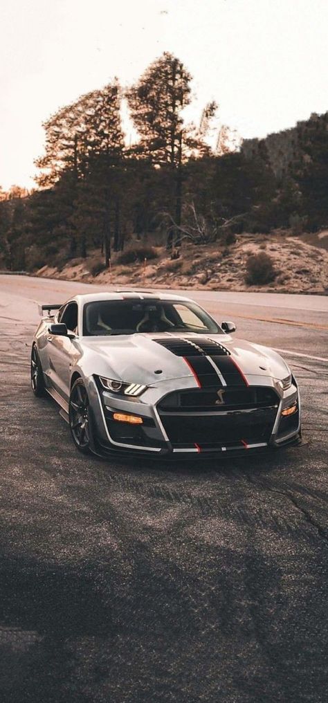 Mustang Aesthetic, Sports Cars Mustang, Ford Mustang Wallpaper, Shelby Mustang Gt500, Mobil Mustang, Shelby Gt 500, Luxury Cars Audi, Mustang Wallpaper, Mustang Bullitt