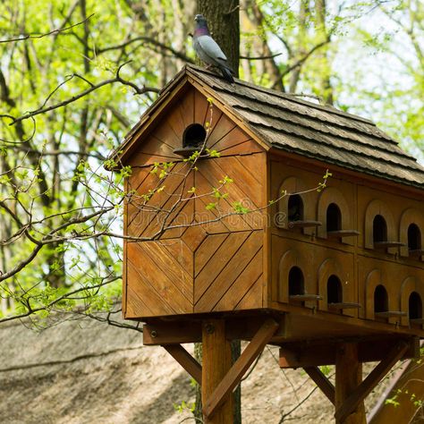 Photo about Wooden pigeon house, one pigeon on top. Image of loft, birdhouse, countrified - 53436658 Pigeon House Ideas, House Ideas Country, Bar Furniture Design, Luxe Home Decor, Pigeon House, Large Bird Houses, Extravagant Homes, Bird Tables, Luxe Home