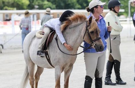 Pony Finals Aesthetic, Pony Hunters, Pony Finals, Winning Horse Show, Group Horse Riding, Inn Of The Prancing Pony, Work Aesthetic, Pony Rider, Horse Magazine