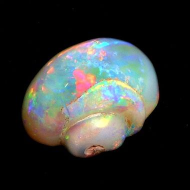 Opalized snail from Coober Pedy, South Australia Coober Pedy Australia, Rocks And Fossils, Coober Pedy, Pretty Rocks, Cool Rocks, Beautiful Rocks, Minerals And Gemstones, Rocks And Gems, Gem Stones