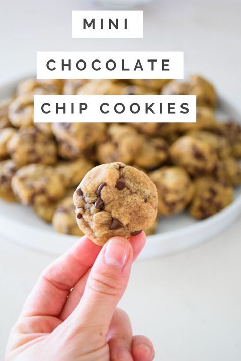 The Best Ever Mini Chocolate Chip Cookies are perfect for parties and get togethers! These tiny chocolate chip cookies are just as delicious as the big ones but these are the minis! They are dense, satisfying and perfect for sharing! Mini Cookie Recipe, Resepi Biskut, Mini Chocolate Chip Cookies, Make Chocolate Chip Cookies, Chocolate Chip Cookies Ingredients, Mini Chips, Soft Chocolate Chip Cookies, Choc Chip Cookies, Best Chocolate Chip Cookie