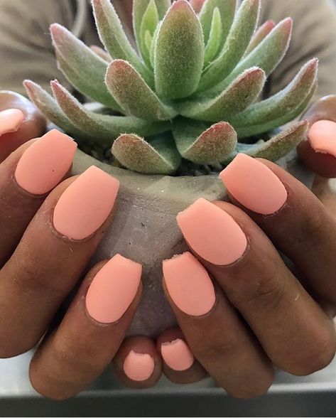 Spring Break Nails, Peach Nails, Broken Nails, Nails French, Orange Nails, Makeup Designs, Nail Arts, Matte Nails, Nail Polishes