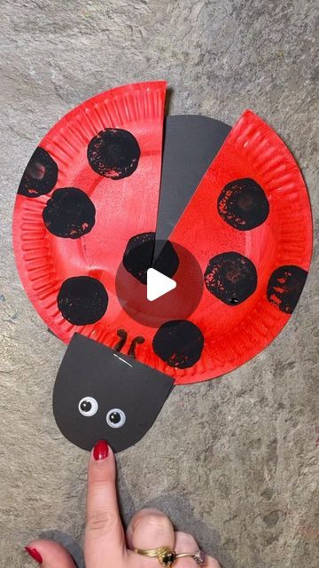 Home is where the art is on Instagram: "❤️🖤I love paper plate crafts! And this little ladybug is just the CUTEST 🤩🐞 I’ve said it before - but these circle sponges on sticks are my go to for kids crafts! #craft #crafts #crafting #funcrafts #craftideas #craftideasforkids #kidscrafts #preschoolactivities #preschoolathome #easycrafts" Ladybug Art And Craft, Paper Plate Ladybug Craft Preschool, Ladybug Paper Plate Craft, Insect Preschool Art, Ladybug Kids Craft, Lady Bug Crafts For Toddler, Insect Activity Preschool, Ladybug Crafts For Toddlers, Ladybird Crafts For Kids