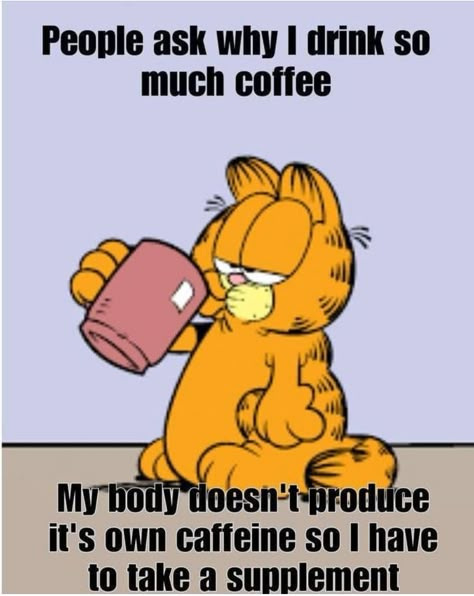 Coffee Humor Monday, Funny Inspirational Memes, Good Morning Beautiful Souls, Coffee Jokes, Garfield The Cat, Funny Coffee Quotes, Workout Beginner, Quirky Quotes, Good Morning Funny