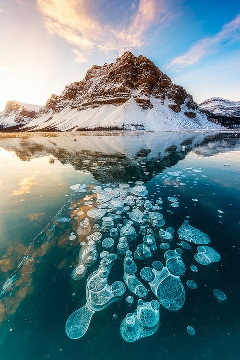 Abraham Lake Canada, Abraham Lake, Winter Vacation, Aruba, Barbados, Places Around The World, Belize, Land Scape, Haiti