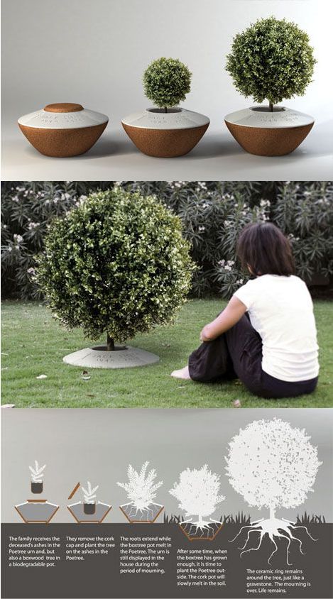 The Poetree - A Funeral Urn That Lets You Plant A Tree From Ashes. What a beautiful, eco friendly tribute! A memorial tree planter with ceramic ring marker. Tree Planters, Memory Tree, Plant A Tree, Cremation Ashes, Memorial Garden, After Life, Tree Hugger, Growing Tree, Celebration Of Life