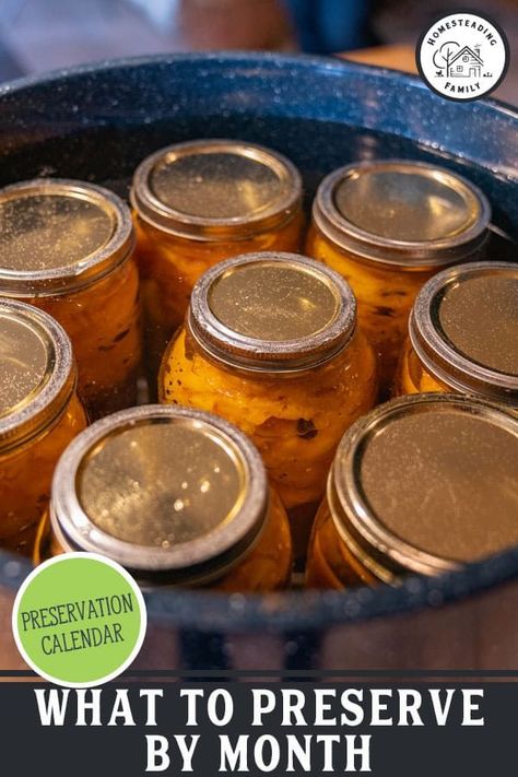 Easy Food Preservation, Food Preserving Ideas, Canning For Winter, Garage Canning Storage, Preserving Fruit In Jars, Winter Canning Ideas, Things To Can In The Winter, Canning And Freezing, What Can You Can